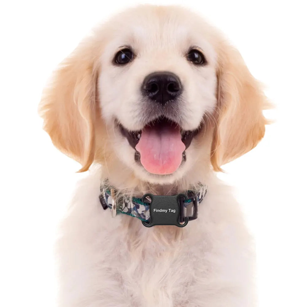 IP67 Bluetooth Pet Tracker with Collar for Dogs & Cats — Findmytag App