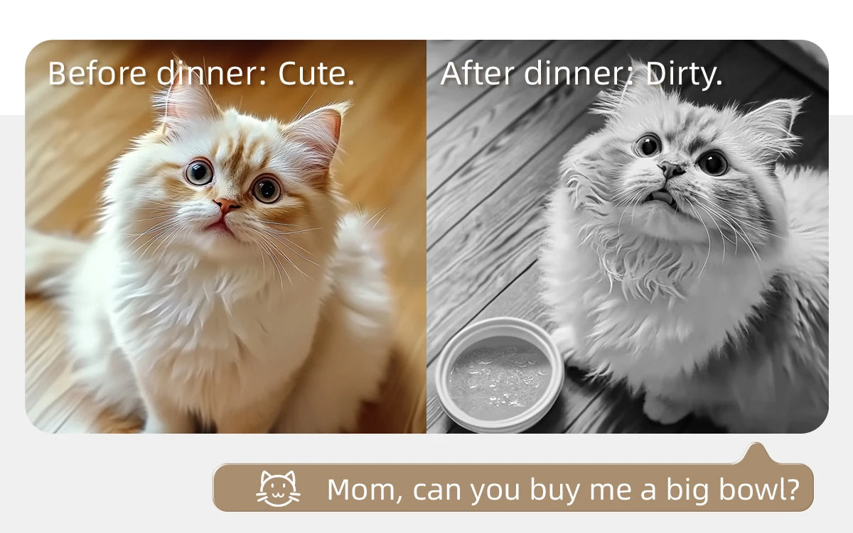 Automatic Four-Meal Pet Feeder for Wet & Dry Food