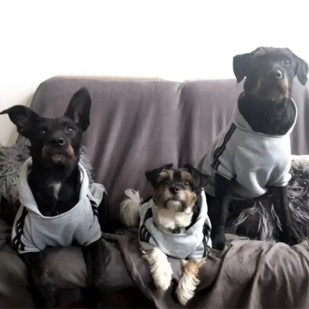 Sweat à capuche pour chien automne-hiver - Manteau chaud en molleton pour chiens de taille moyenne à grande