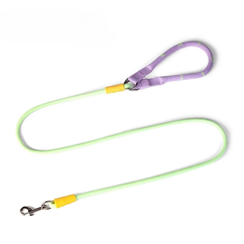 Laisse et collier combinés en nylon pour petits chiens