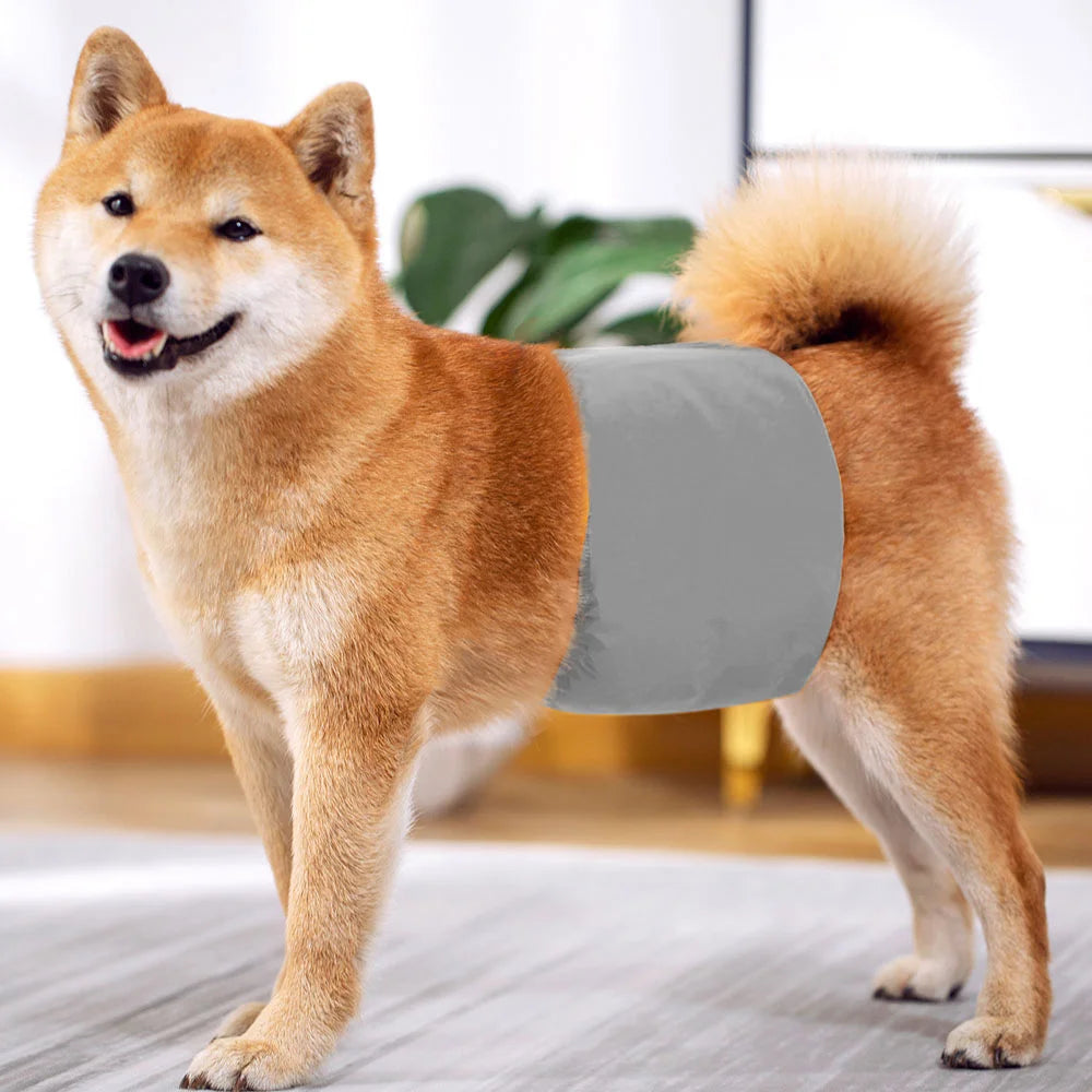 Reusable Waterproof Male Dog Belly Band Nappy Wraps