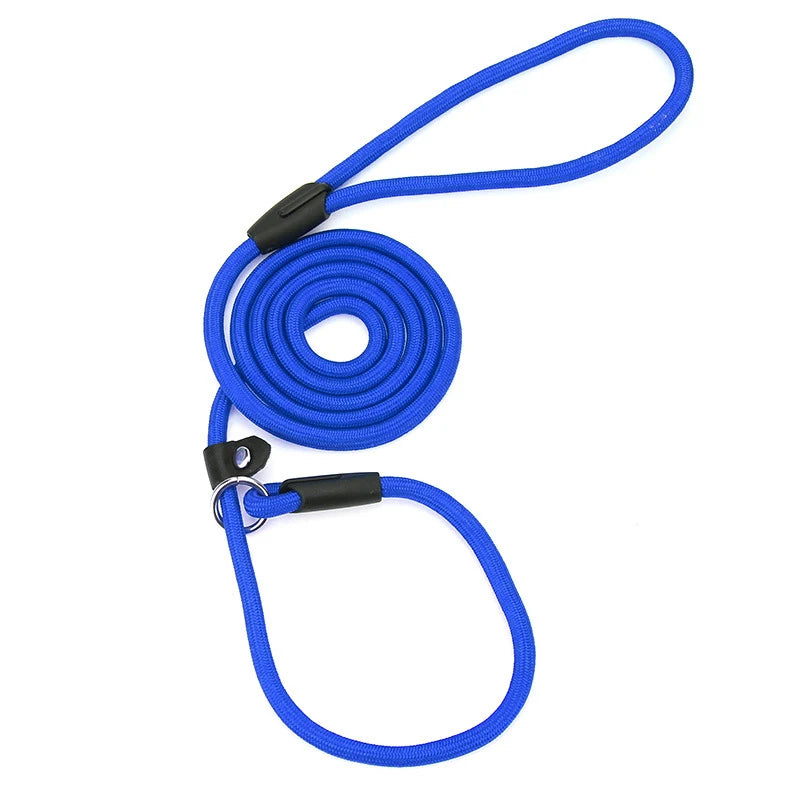 Nylon Slip Lead Training Leash for Small & Medium Dogs