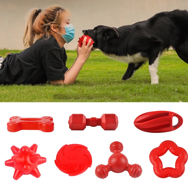 Bite-Resistant Chew Toys for Dogs