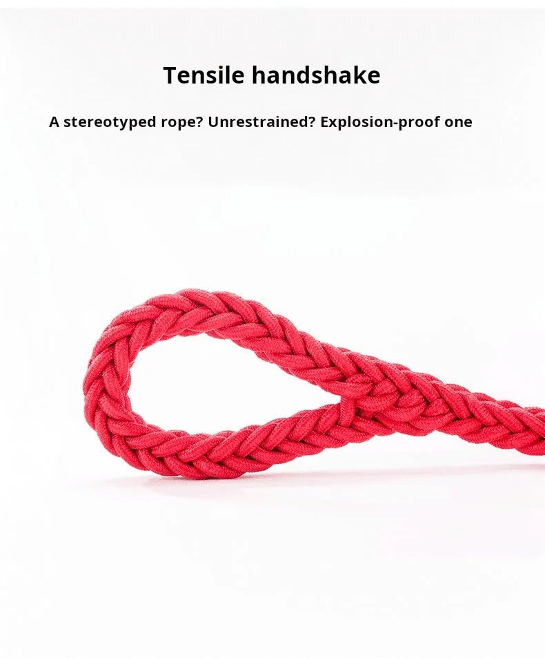 Laisse tressée de 1,5 m pour chien - Laisse d'entraînement durable pour des promenades confortables