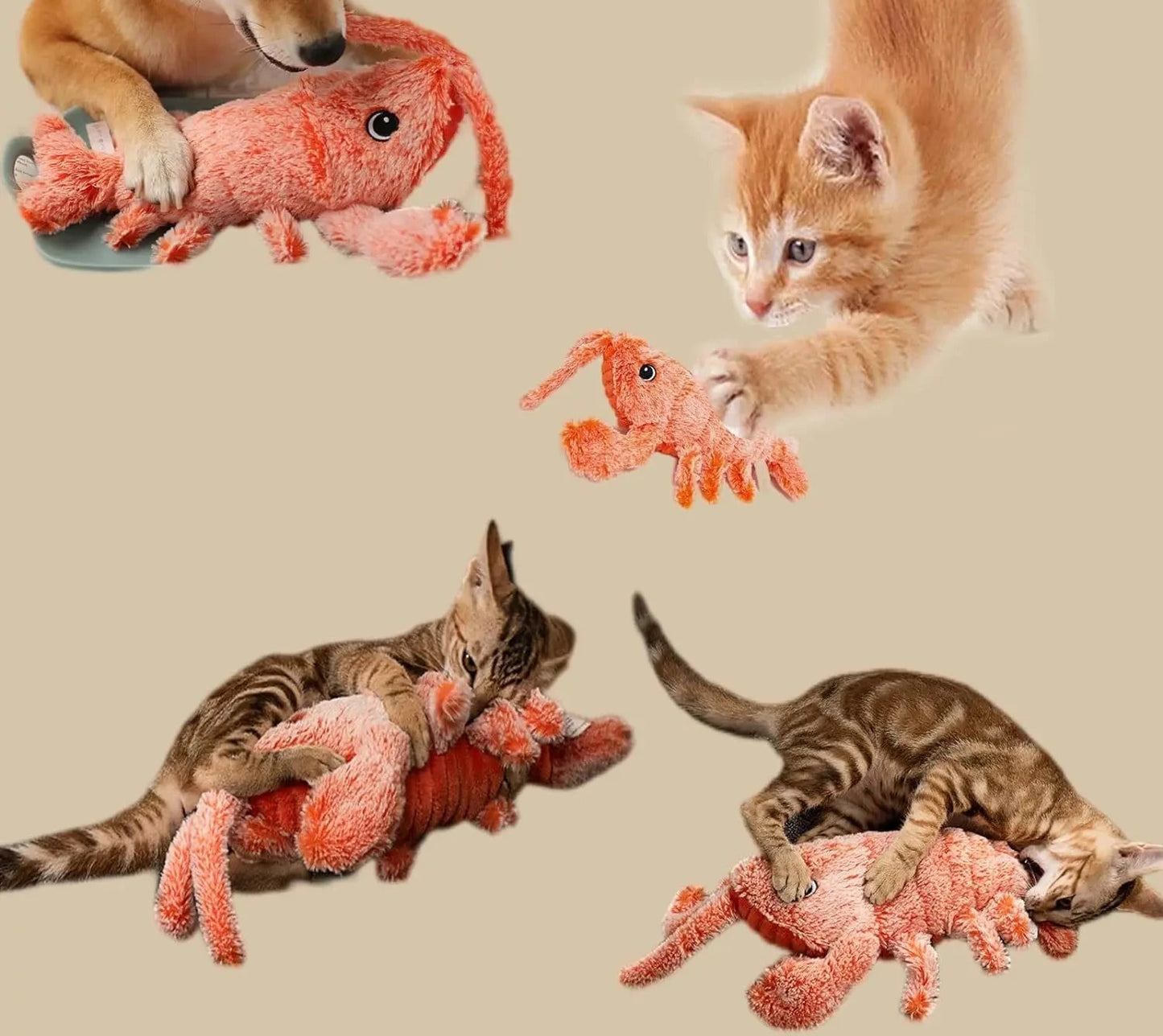 Jouet interactif pour chat homard vibrant avec herbe à chat