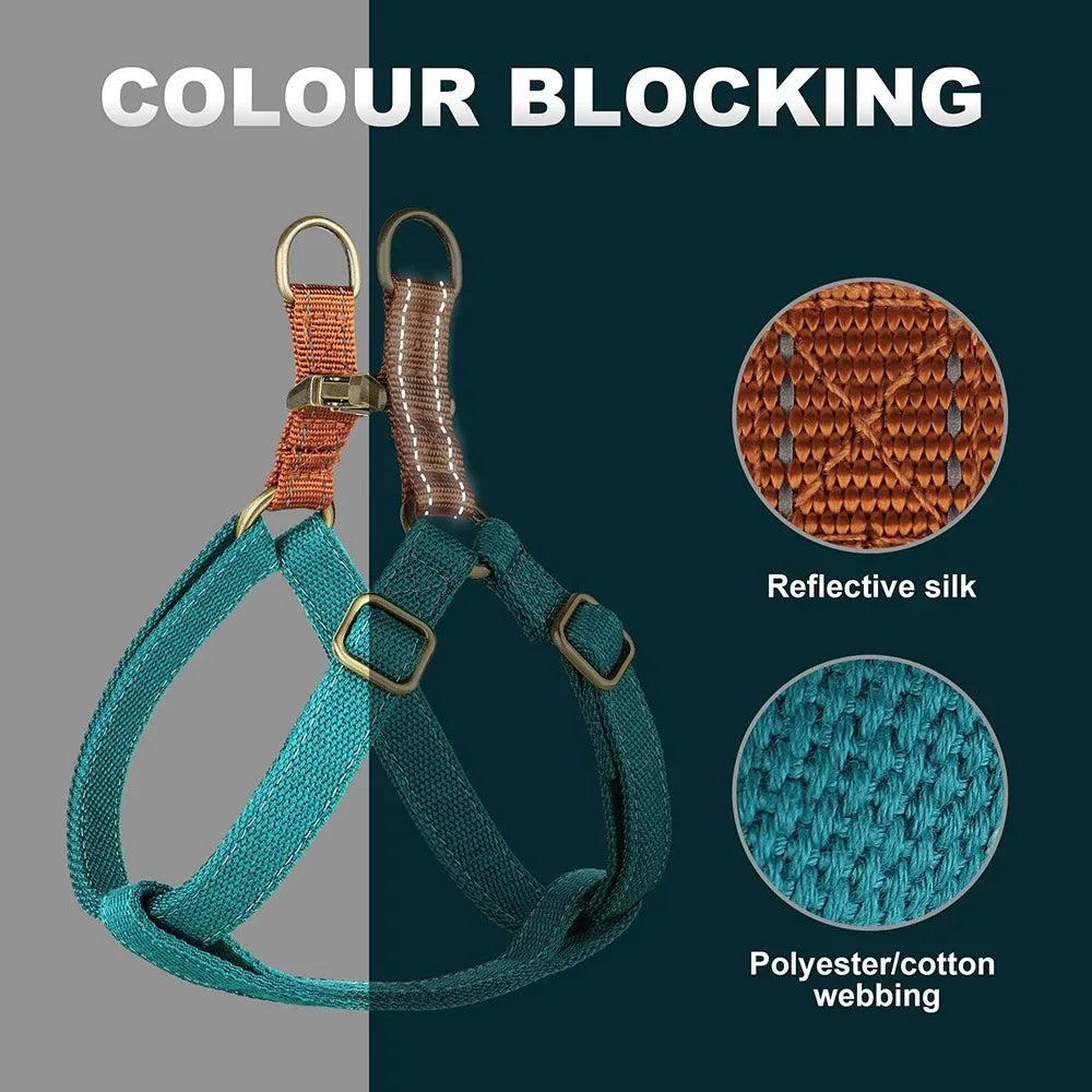 Ensemble harnais de dressage et collier personnalisé pour chien