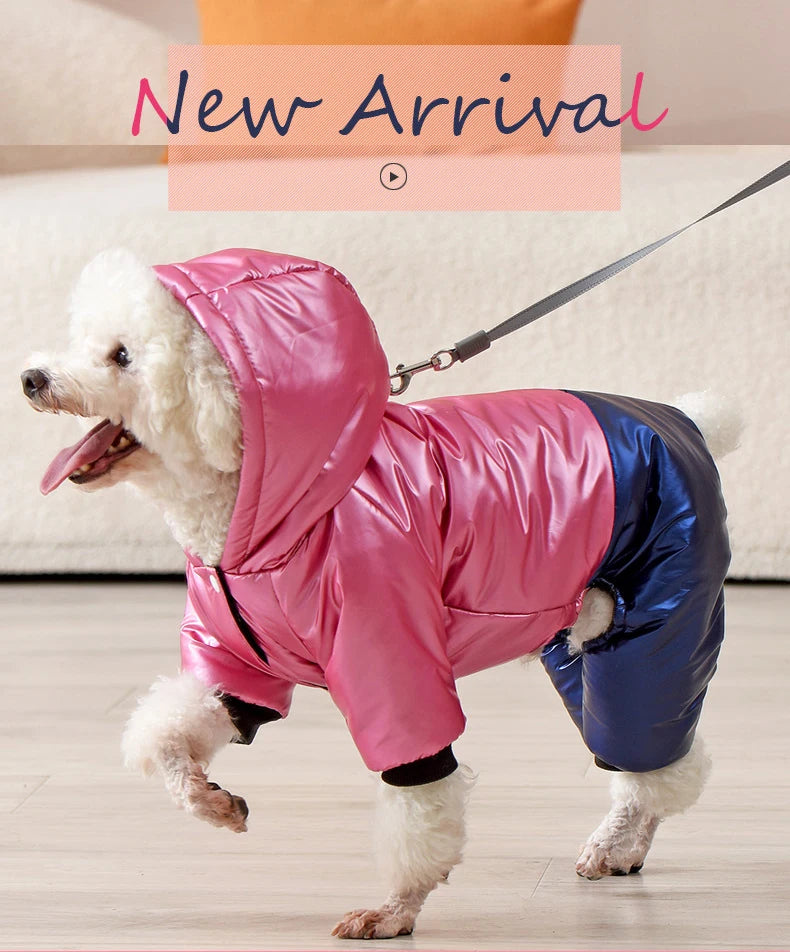 Waterproof Winter Down Hoodie Jacket for Small Dogs