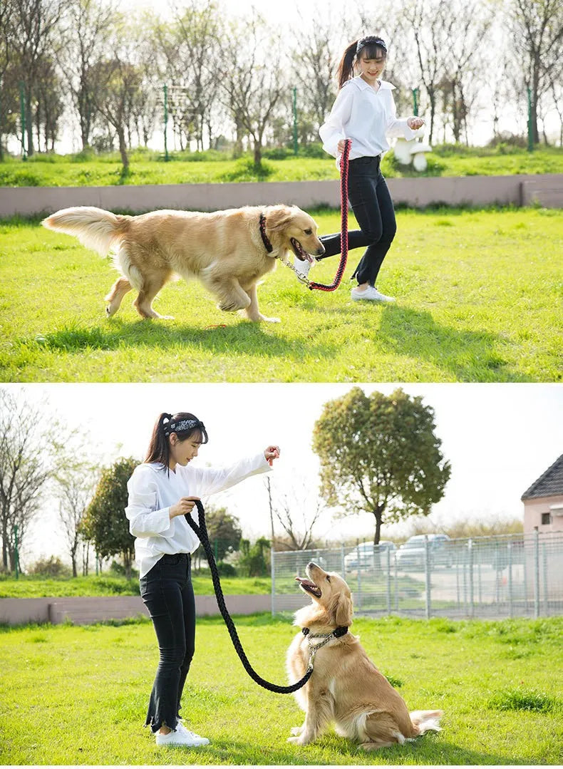 Laisse tressée de 1,5 m pour chien - Laisse d'entraînement durable pour des promenades confortables