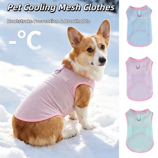 Breathable Mesh Cooling Vest with D-Ring for Small Dogs