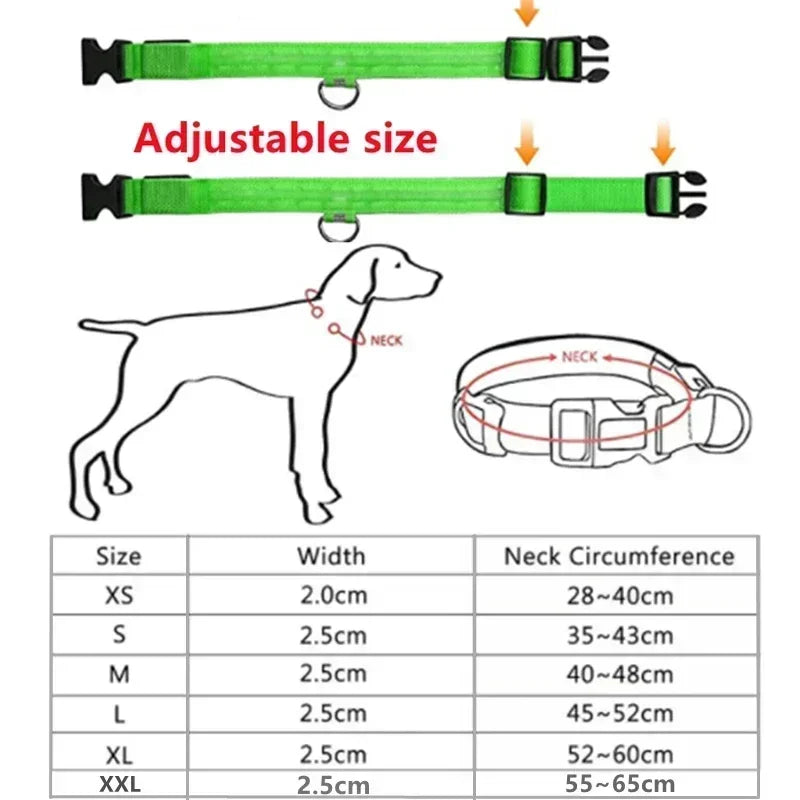 Collier lumineux LED pour chien - Réglable, clignotant, rechargeable - Collier lumineux pour la sécurité nocturne - Harnais lumineux anti-perte pour chien
