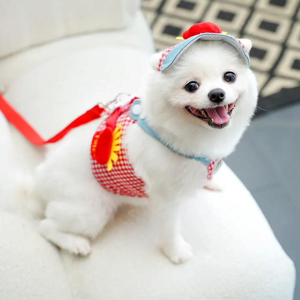 3-Piece Dog Harness, Leash & Sun Hat Set – Novelty Character Designs
