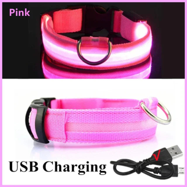 Collier lumineux LED pour chien - Réglable, clignotant, rechargeable - Collier lumineux pour la sécurité nocturne - Harnais lumineux anti-perte pour chien