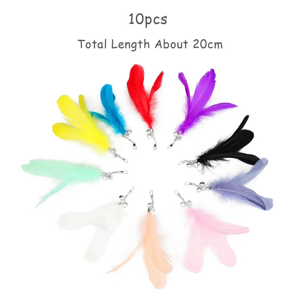 Feather Cat Teaser Toy Replacement Pack (10pcs)
