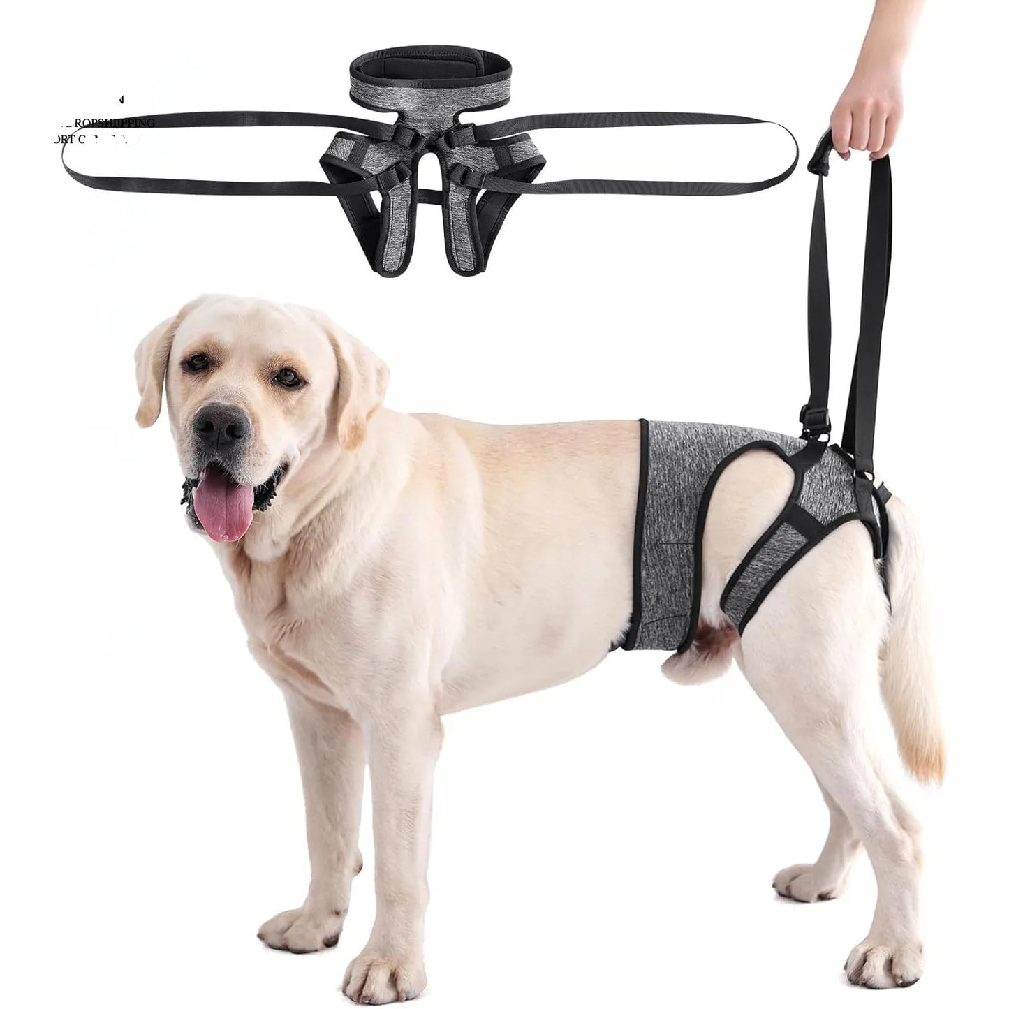 Hind Leg Support Dog Sling for Large & Senior Dogs | Adjustable Mobility Aid
