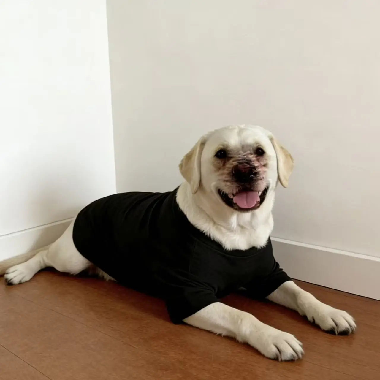 Soft Breathable Dog Cooling Vest Shirt | Casual Summer Top for Medium & Large Dogs