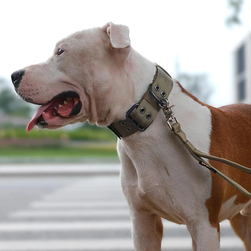 Military Dog Collar with Metal D-Ring & Buckle — Adjustable Working Collar for Medium & Large Dogs
