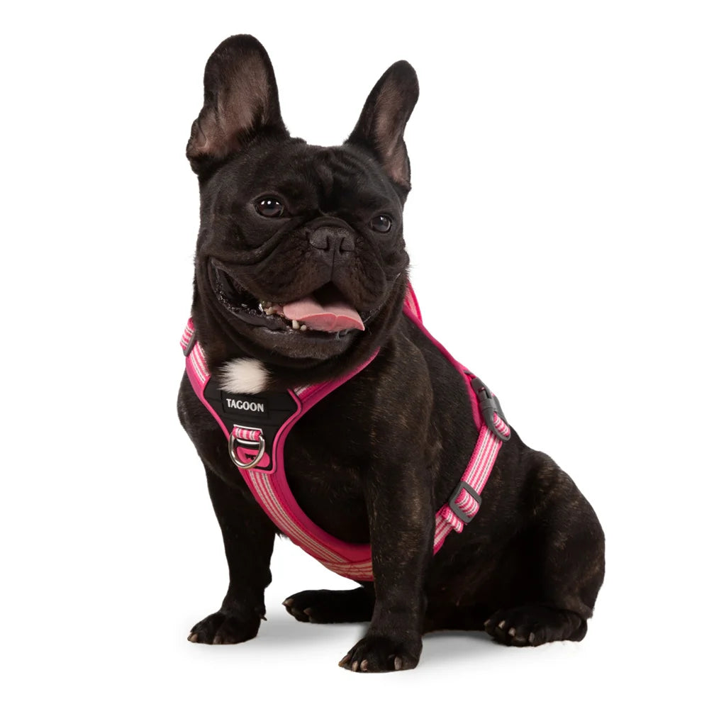 No Pull Big Dog Harness with Handle for Small Medium Large Dogs Weimaraner Doberman Pinscher Fashion Durable Pet Vest Harnesses