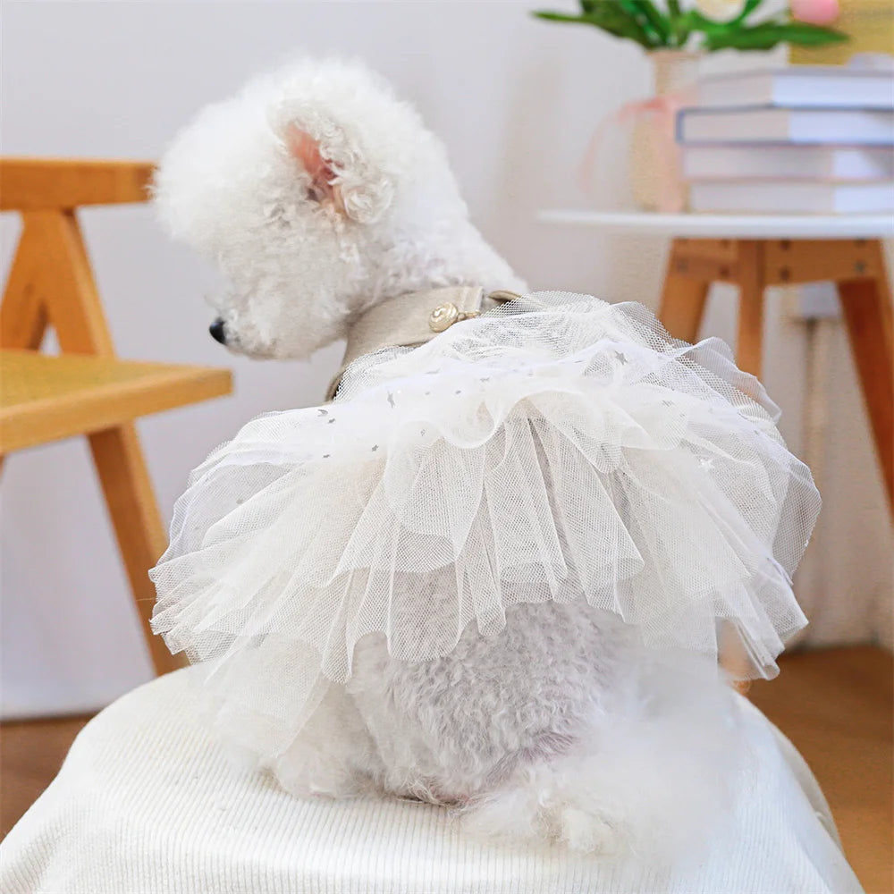 Sequin & Lace Pet Dress