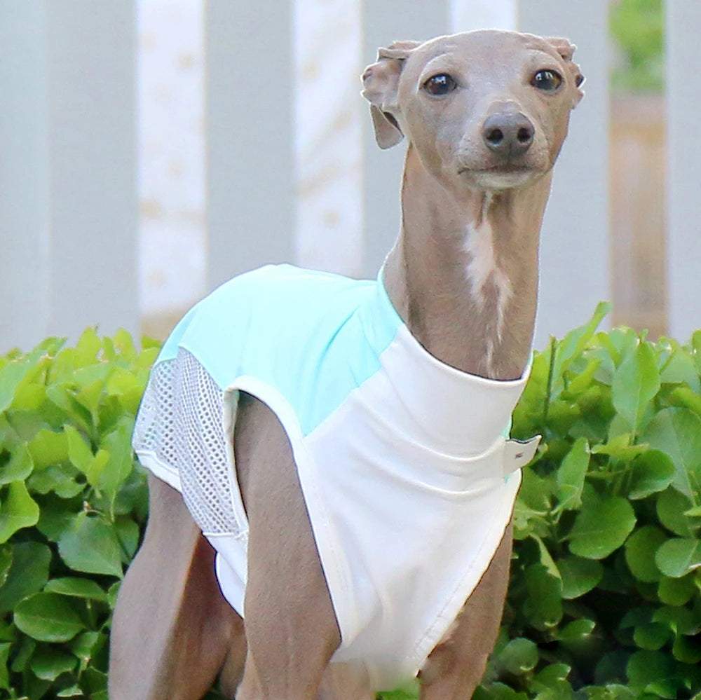 Breathable Summer Cooling Vest for Dogs & Cats