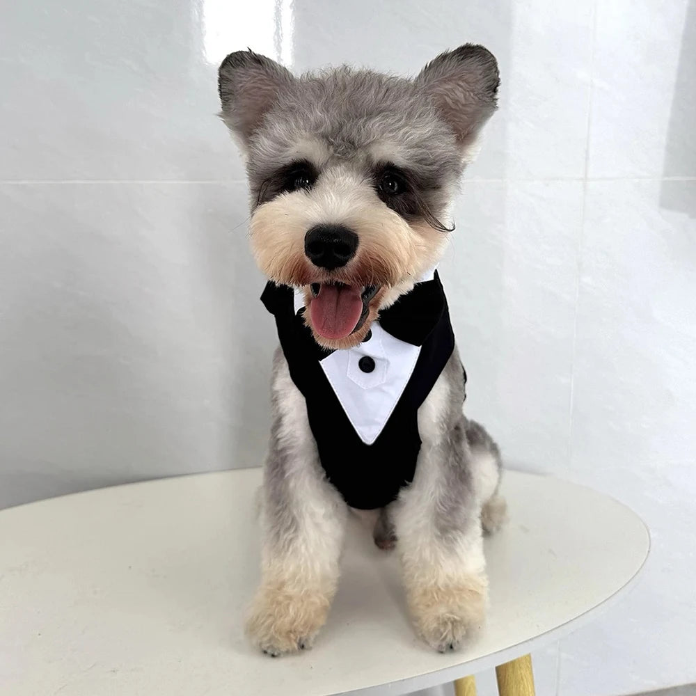 Tuxedo Dog Harness Vest with Bow Tie & D-Ring