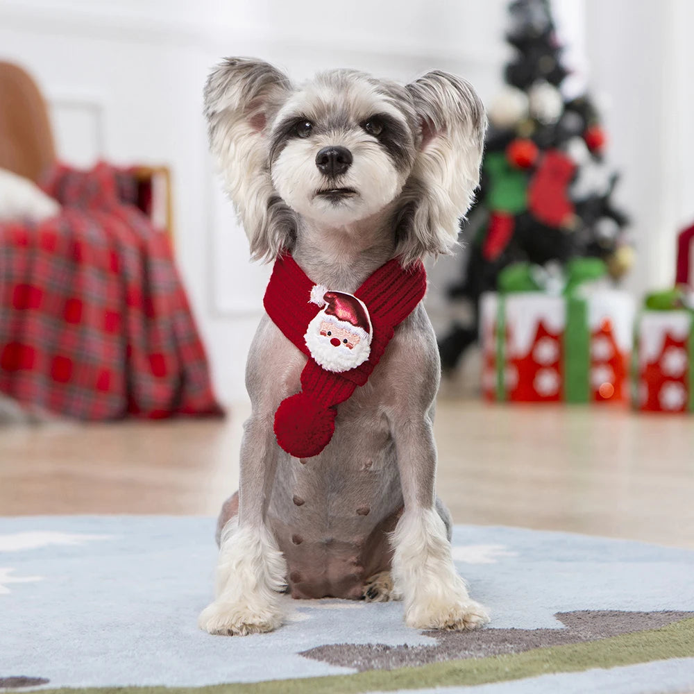 Printed Neck Scarf for Cats & Small Dogs