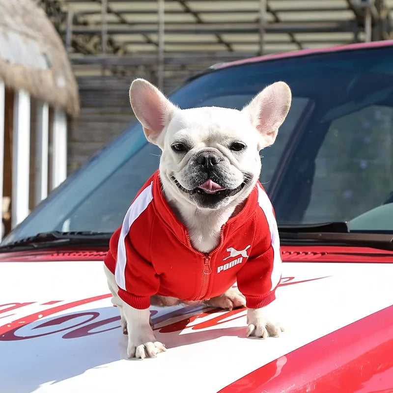 Dog Baseball Jacket | Autumn Winter Sweatshirt Coat for Small & Medium Dogs