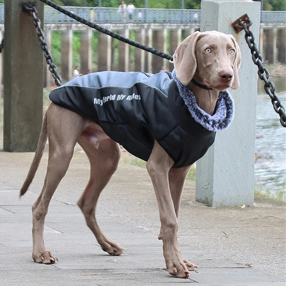 Reflective Waterproof Winter Dog Coat with Fur Collar & Harness