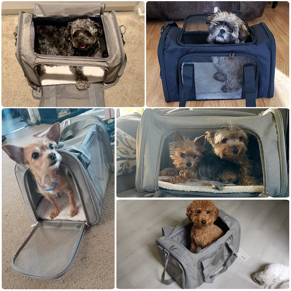 Soft-Sided Pet Travel Carrier with Fleece Pad