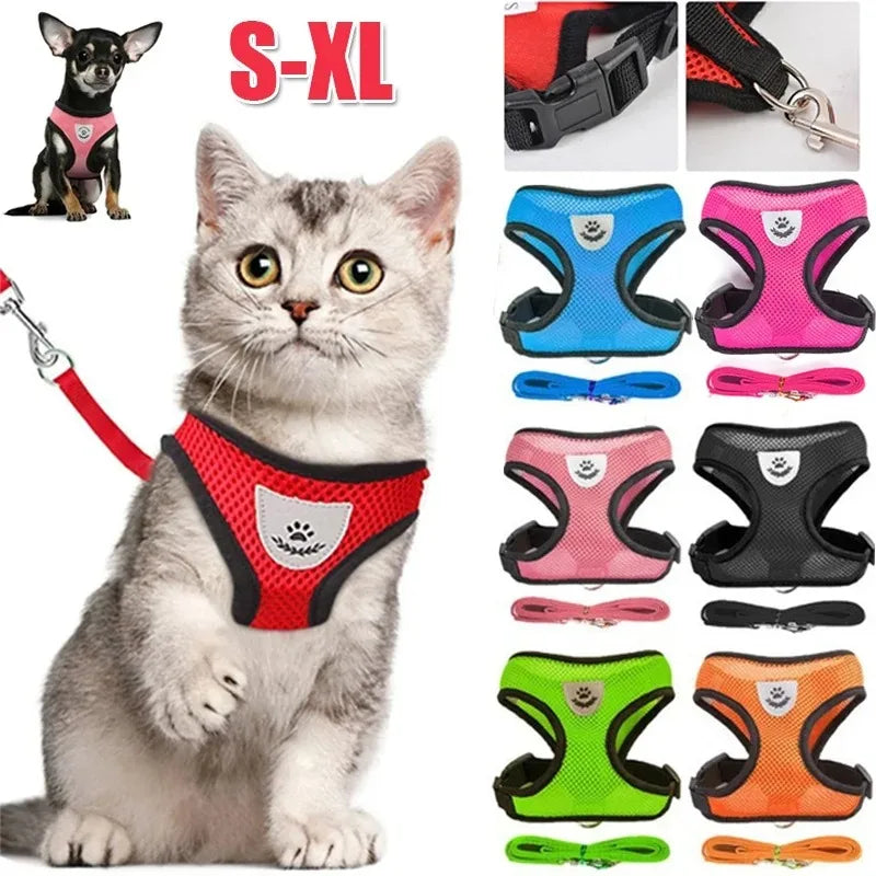 Harnais anti-évasion pour chat et chien avec laisse - Gilet en maille réglable pour la promenade