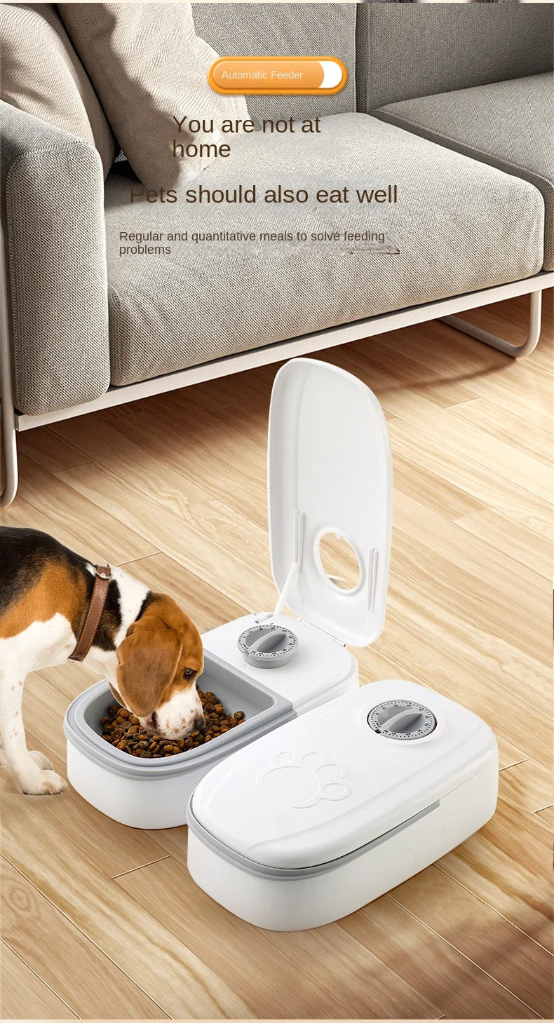 Single-Meal Automatic Pet Feeder with Timer & Cooling Pack