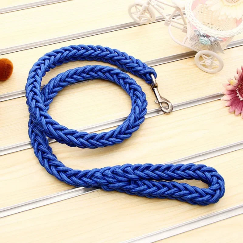 Laisse pour chien en nylon robuste (130 cm)