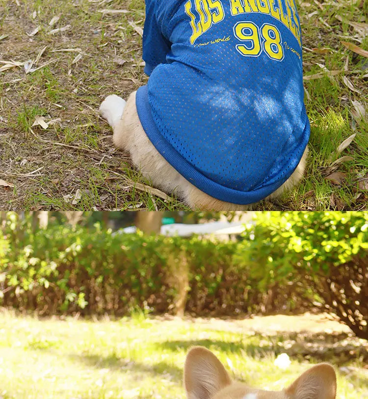 LA Style Dog Cooling Vest | Summer Breathable Shirt for Small to Large Dogs