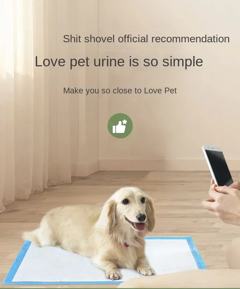 Super Absorbent Disposable Puppy Training Pads — Quick-Dry Surface for Fast, Clean Results