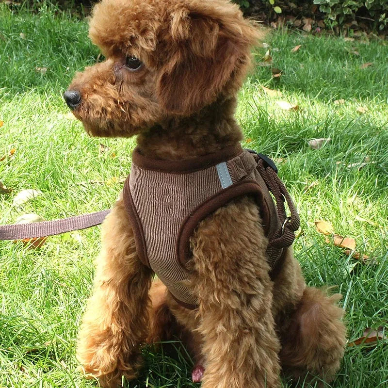 Harnais tactique pour chien avec laisse – Harnais de poitrine réglable pour chiens de petite à grande taille