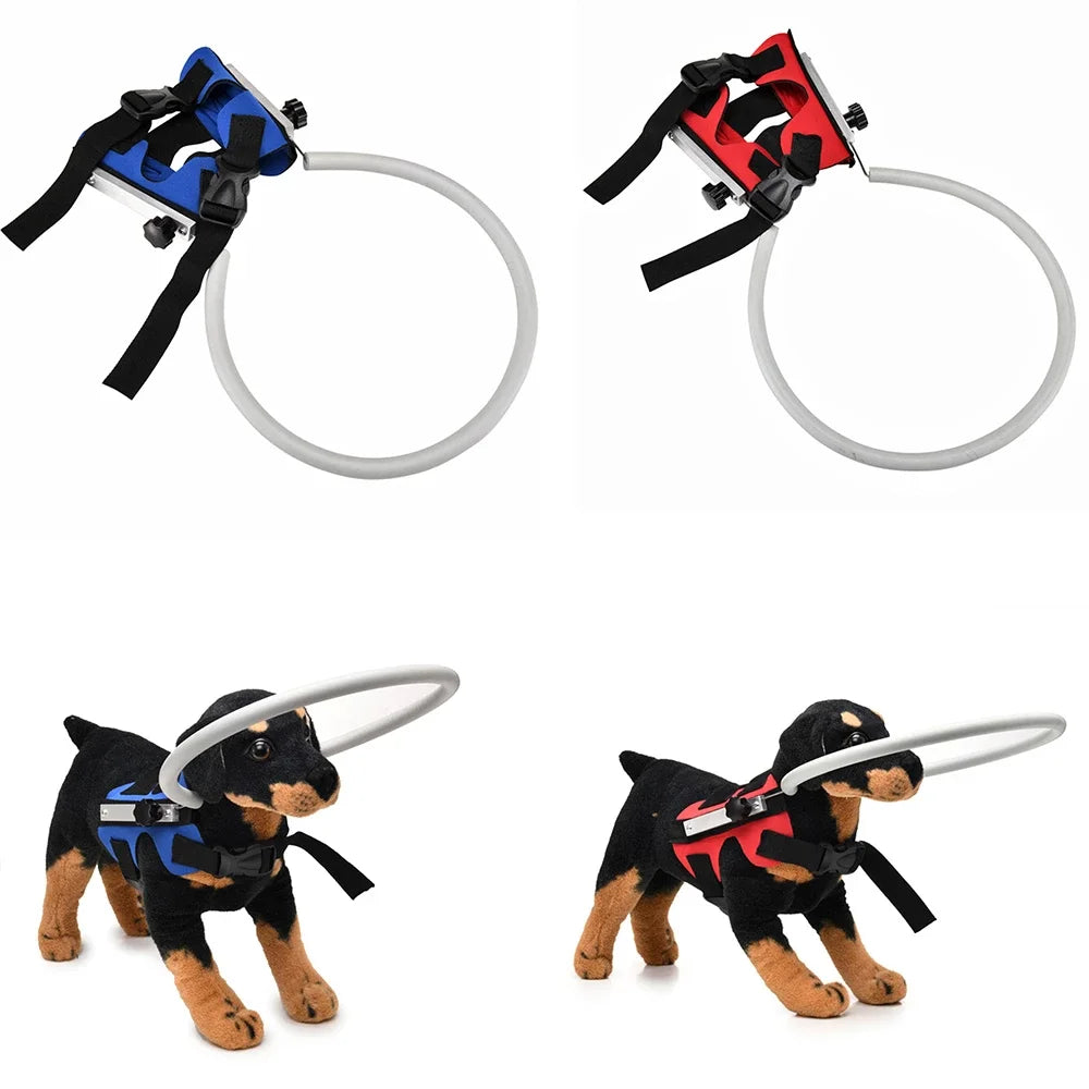 Anti-Collision Halo Collar for Blind & Visually Impaired Dogs