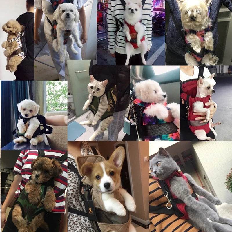 Breathable Mesh Pet Carrier Backpack for Small Dogs & Cats