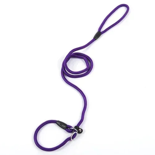 Comfortable Nylon Dog Leash and Collar Set