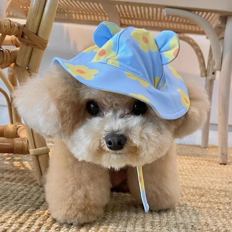 Dog Bikini & Swim Cap Set