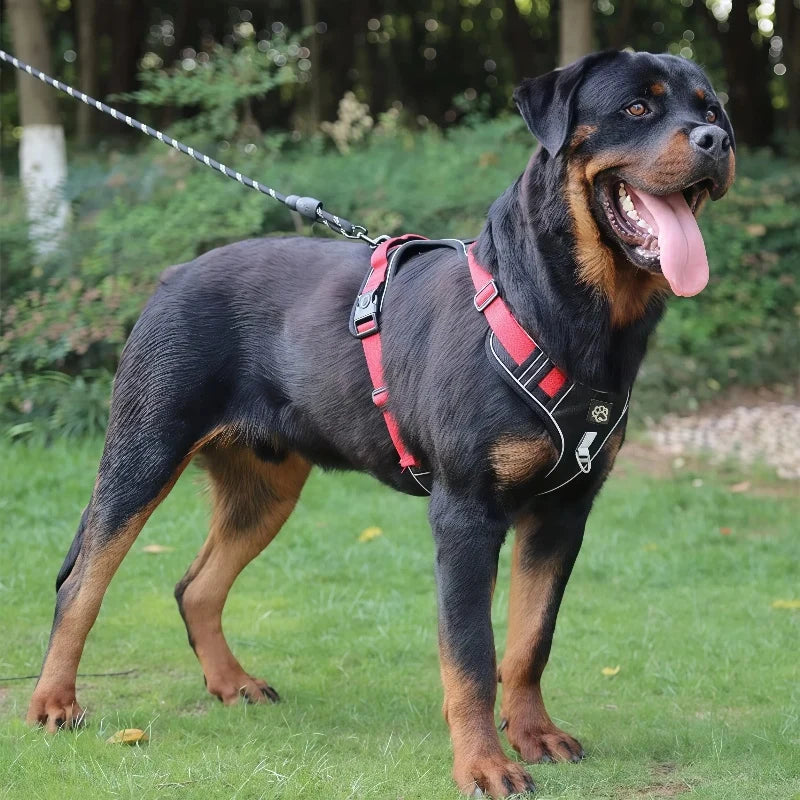 Reflective Tactical Dog Harness for Medium & Large Dogs