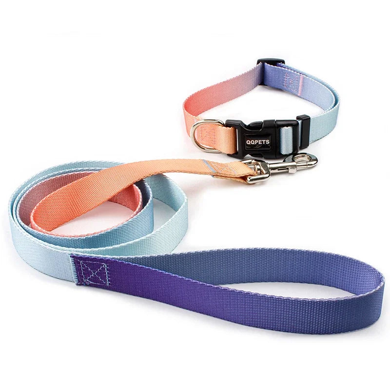 Ensemble laisse et collier réglables en nylon pour chiens - Pour petits et grands chiens