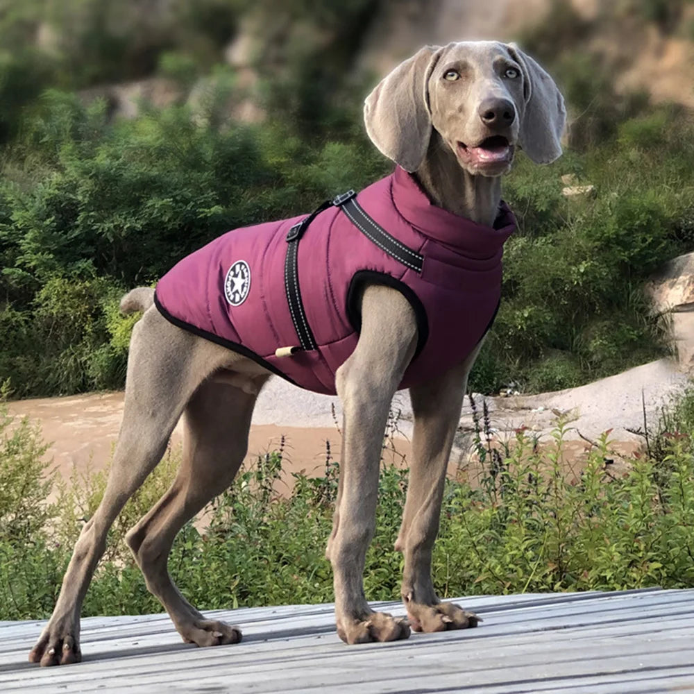 Waterproof Reflective Winter Dog Jacket