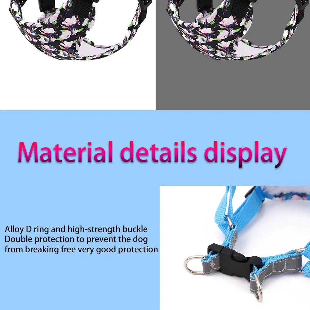 Adjustable Dog Harness & Leash Set with Reflective Strips