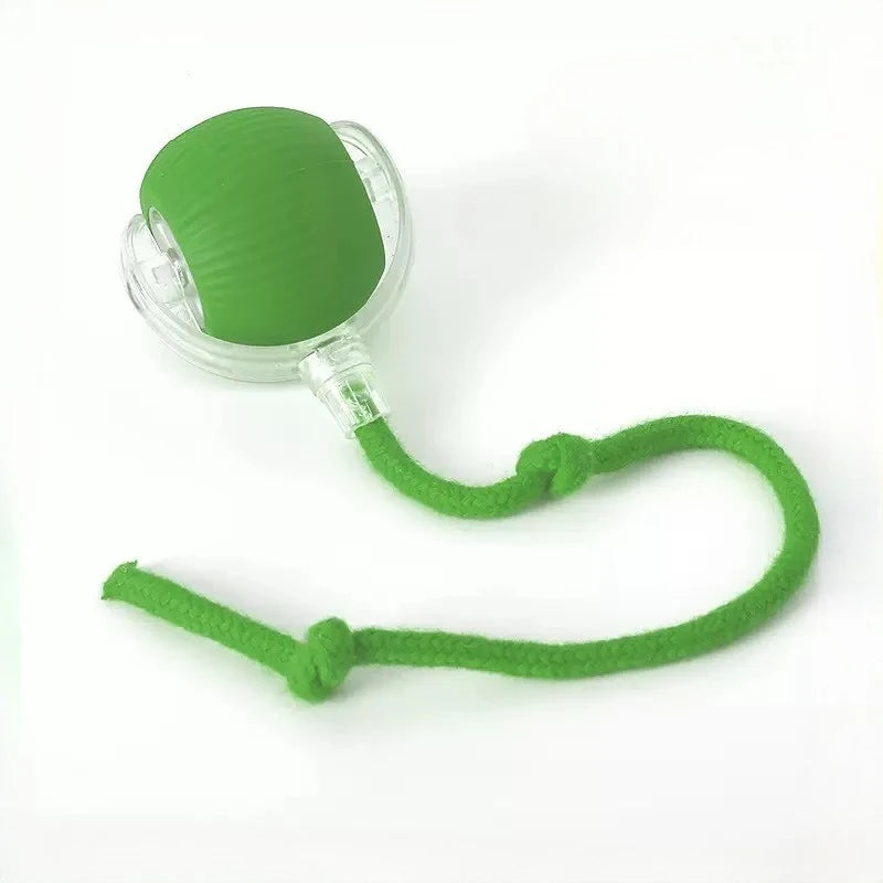 Automatic Rolling Ball Cat Toy - Rechargeable