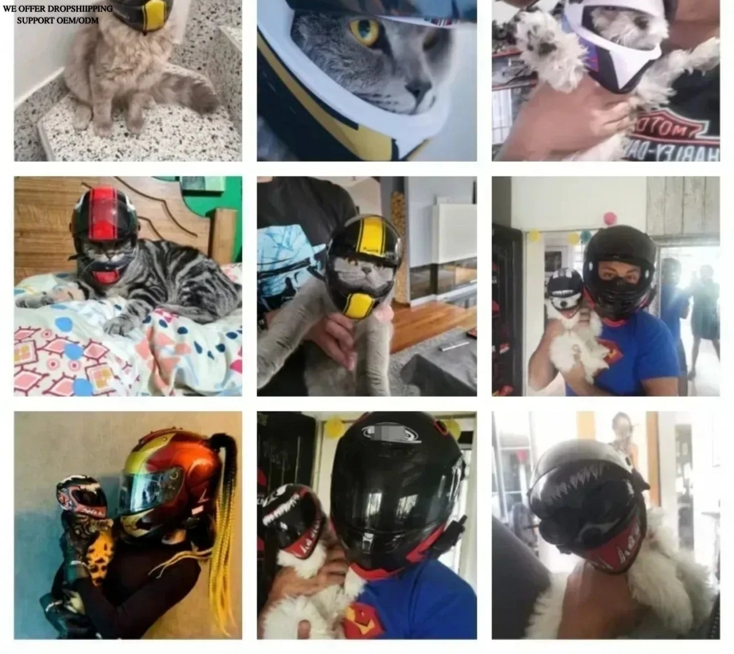 Pet Motorcycle Helmet for Cats & Small Dogs
