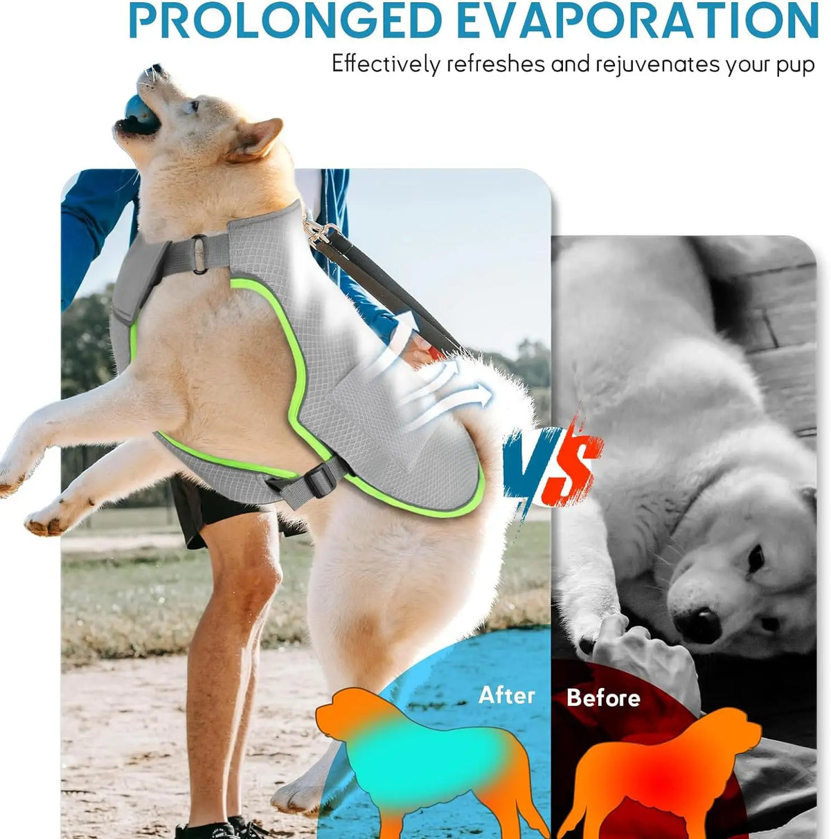 Dog Cooling Harness Vest with Removable Ice Pack & Reflective Evaporative Coat