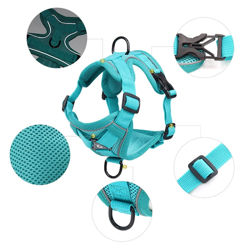 Reflective Mesh Cat & Dog Harness with Leash Set