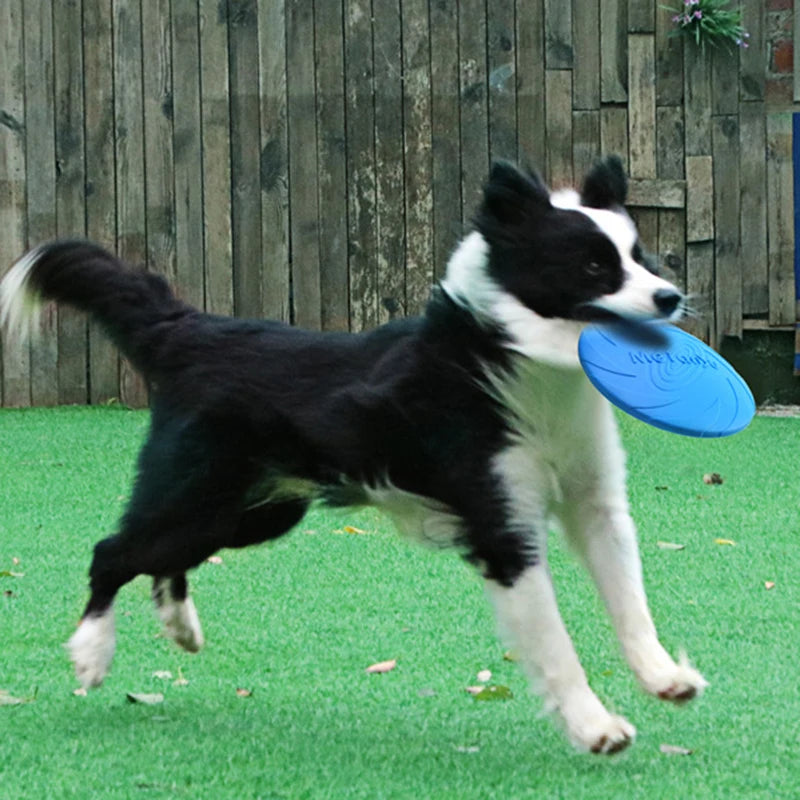 TPR Dog Flying Disc Toy