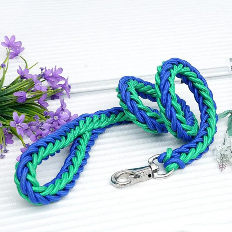 Heavy Duty Nylon Dog Leash & Collar Set - 130cm