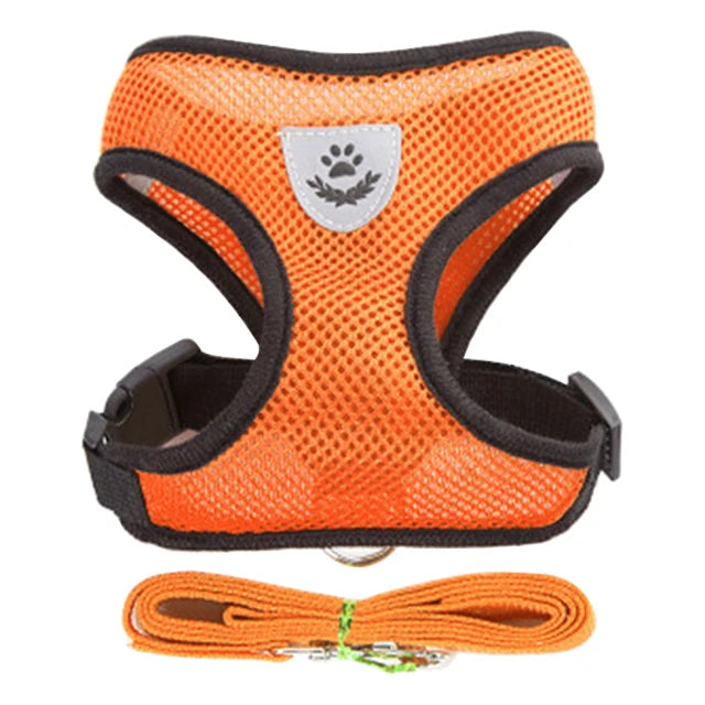Breathable Mesh Vest Harness & Lead Set for Small to Medium Cats and Dogs