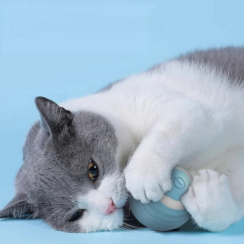Automatic Rolling Cat Ball with Touch-Activated Play